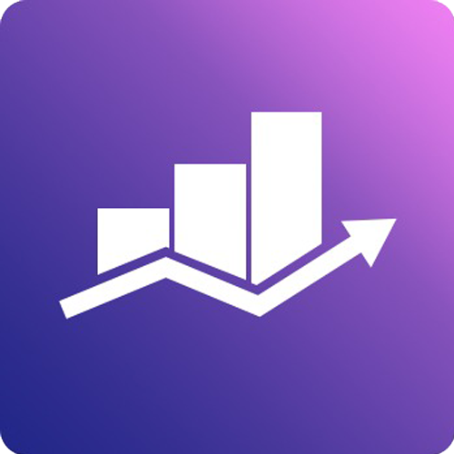 BGMIT SEO marketing